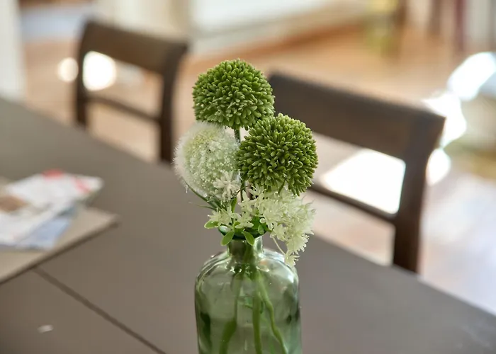 Altstadt Residenz 2 公寓 贝恩卡斯特尔-屈斯